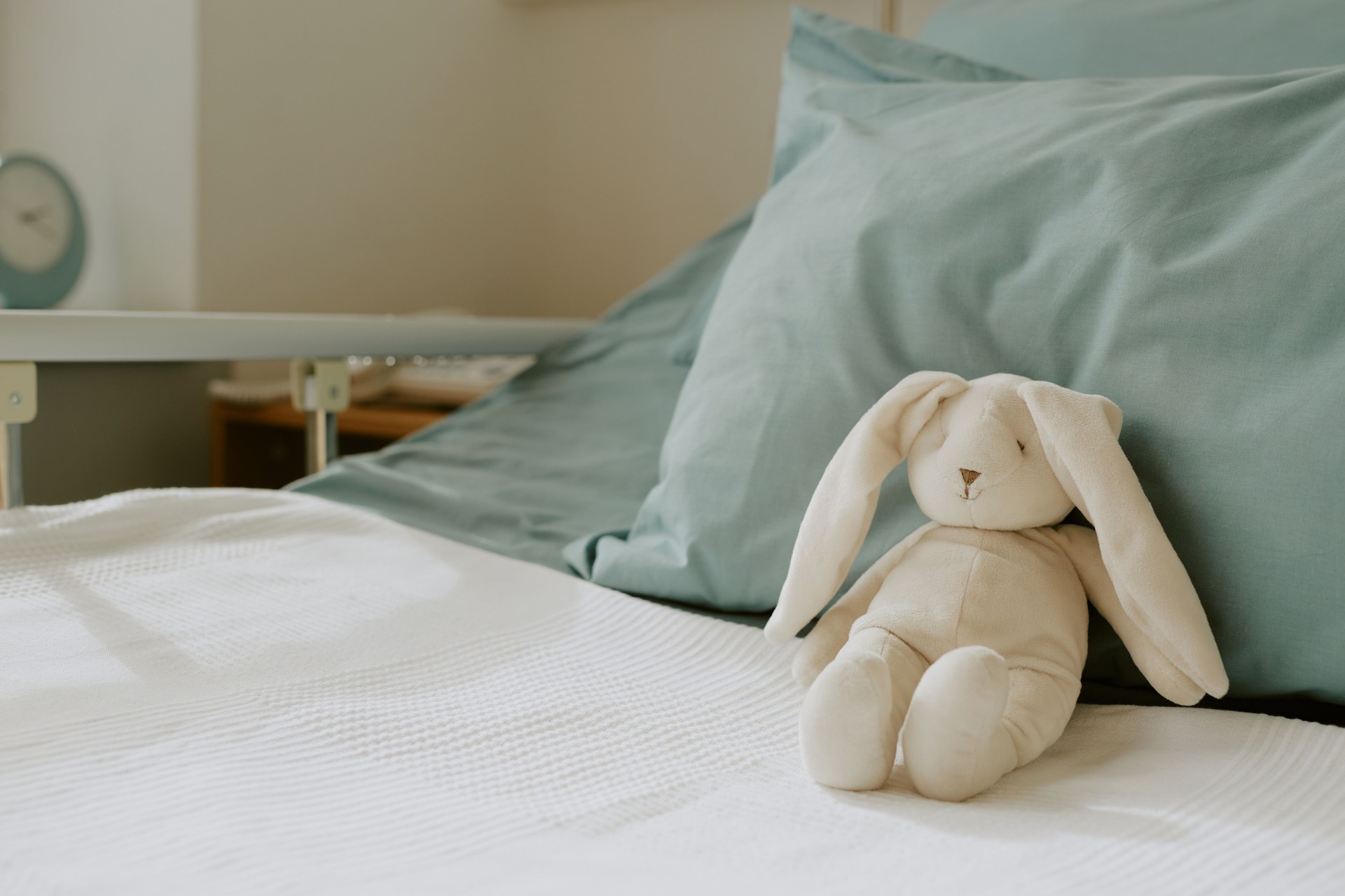 Plush Bunny Sitting on Blanket